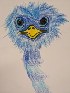 Handgezeichnetes Bild eines blauen Straußvogels Kopf